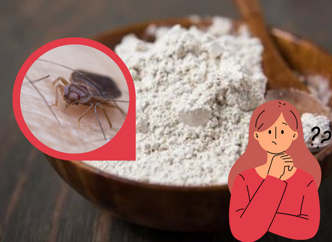 Does_Diatomaceous_Earth_Kill_Bed_Bug_Eggs_2