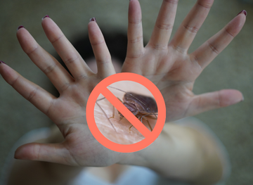 prevent_bed_bugs