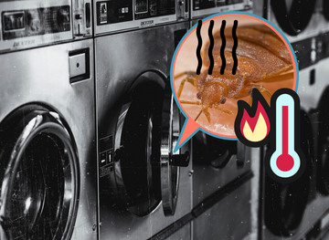 kill_bed_bugs_in_the_dryer