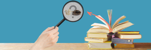 Do Bed Bugs Lay Eggs in Books 600x200