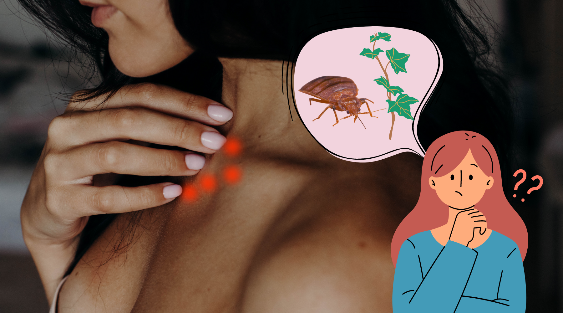 Bed_Bug_Bite_Poison_Ivy_Rash_feature