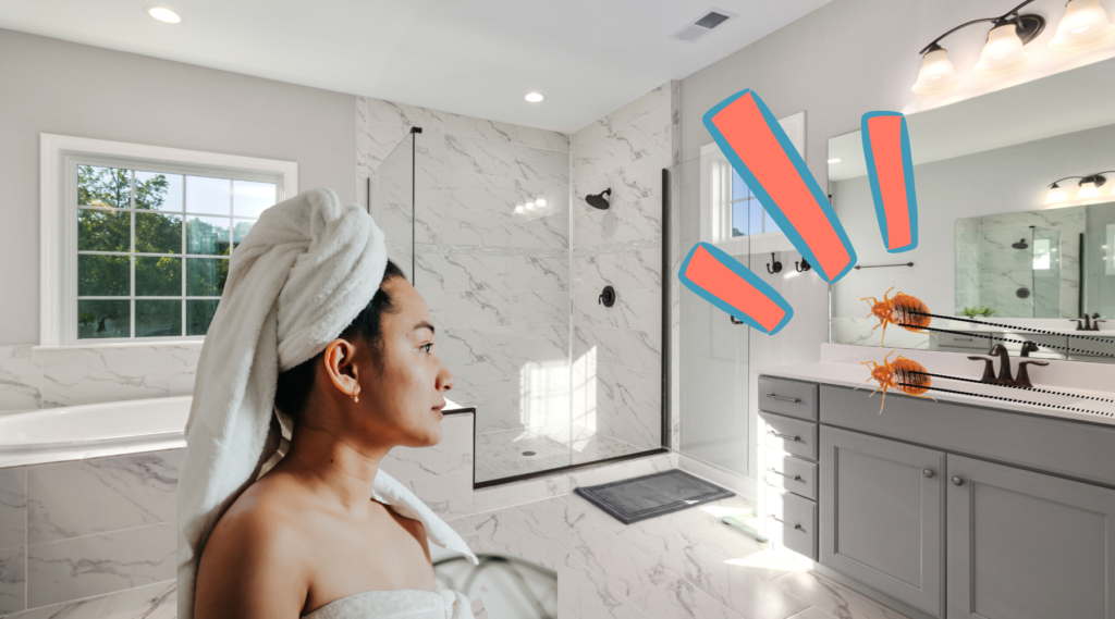 Why are Bed Bugs in Bathroom? (Six Reasons Why)