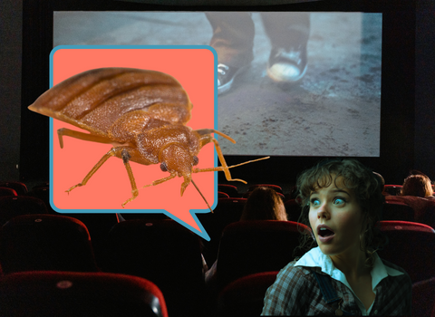 Bed_Bugs_in_Movie_Theatres_4