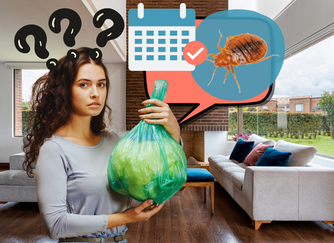 How_Long_Can_Bed_Bugs_Live_in_a_Sealed_Plastic_Bag_1