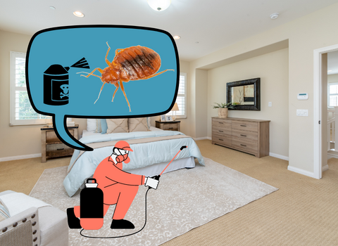 What_Chemicals_Do_Exterminators_Use_for_Bed_Bugs_2