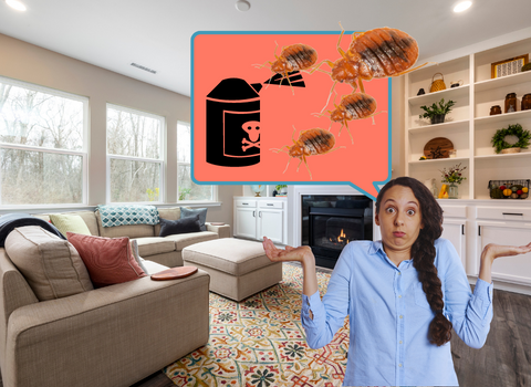 What_Chemicals_Do_Exterminators_Use_for_Bed_Bugs_5
