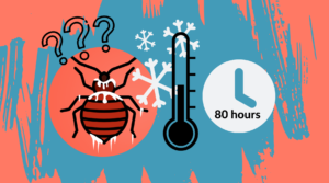 What_Temperature_Do_Bed_Bugs_Freeze_at_feature.