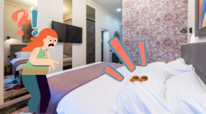 What_to_Do_If_You_Find_Bedbugs_in_Hotel_Room_feature