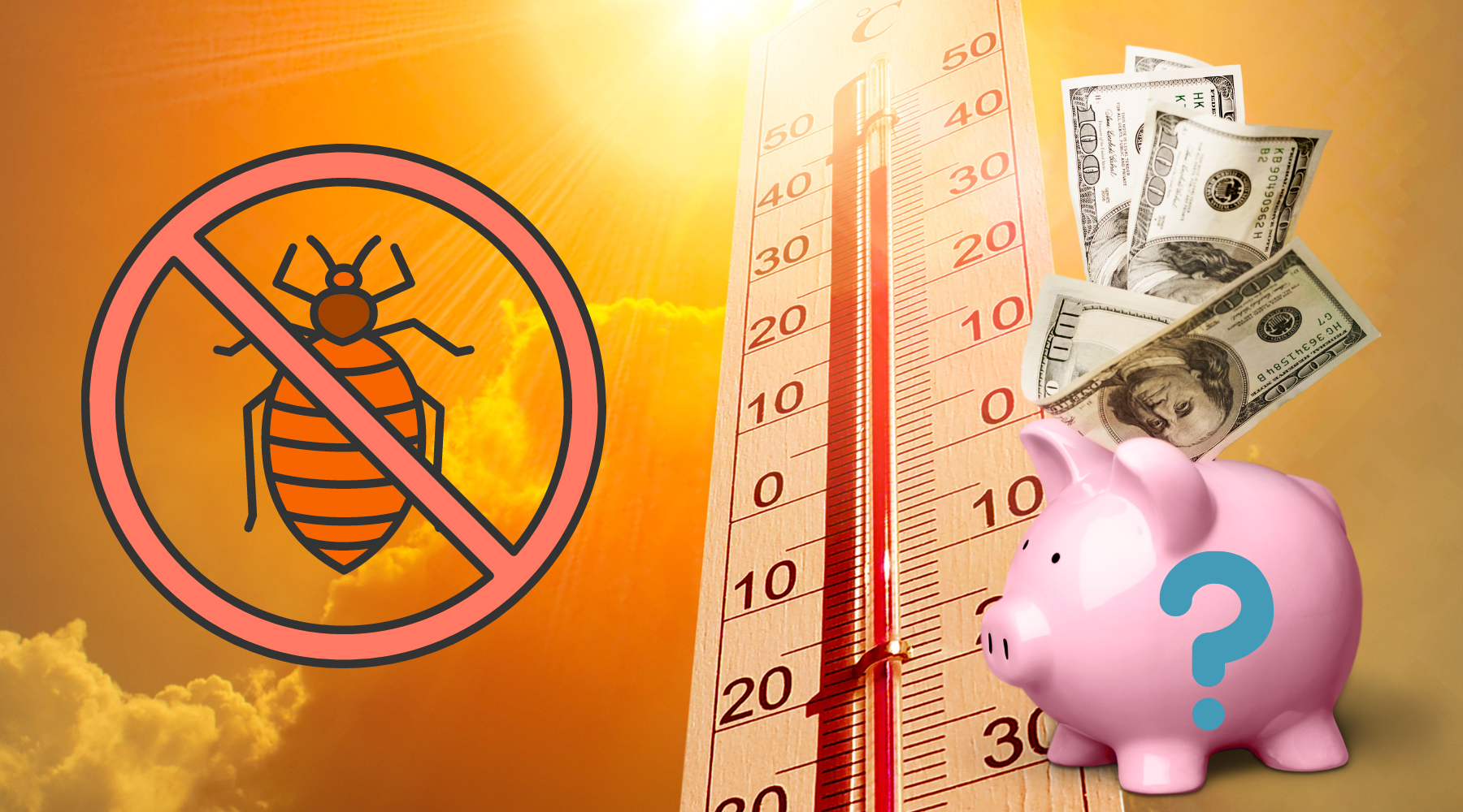 Bed_Bug_Heat_Treatment_Cost_feature