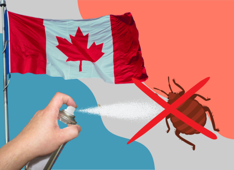 Bed_Bug_Sprays_in_Canada_5
