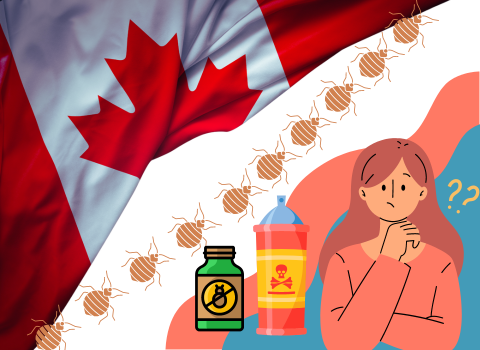 Bed_Bug_Sprays_in_Canada_6