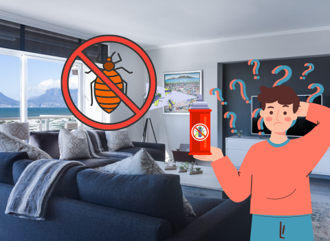 Does_Insect_Repellent_Work_on_Bed_Bugs_3
