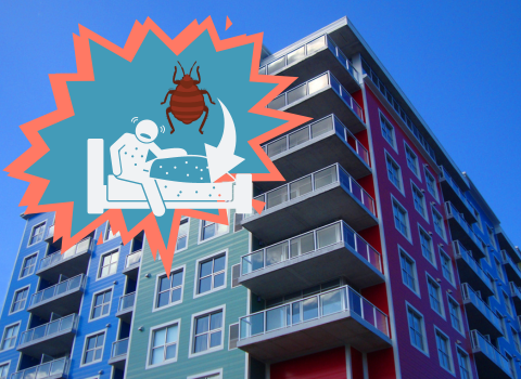 How_Do_Bed_Bugs_Spread_from_One_Apartment_to_Another_1