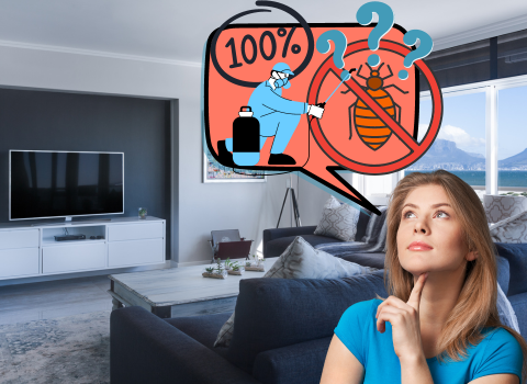 How_Do_You_Know_Bed_Bugs_are_Gone_1