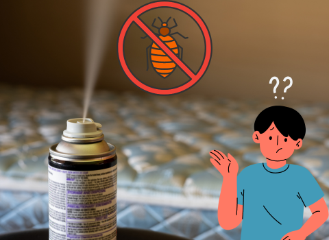 Residual_Spray_for_Bed_Bugs_3