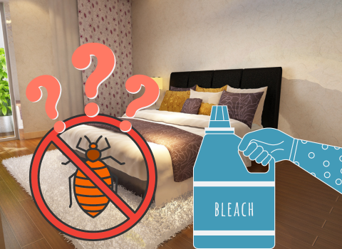 Bleach_Bed_Bugs_3