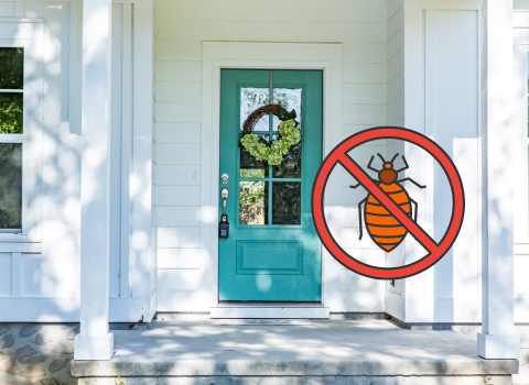 How_to_Prevent_Bed_Bugs_2023_1