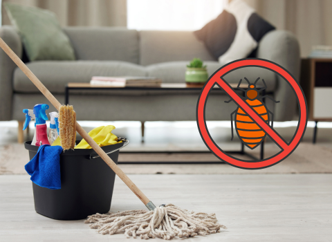 How_to_Prevent_Bed_Bugs_2023_5