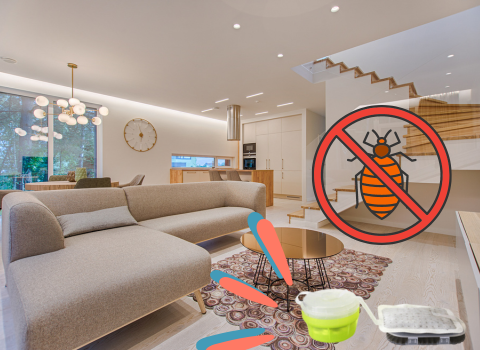 How_to_Prevent_Bed_Bugs_2023_7