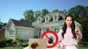 How_to_Prevent_Bed_Bugs_2023_feature