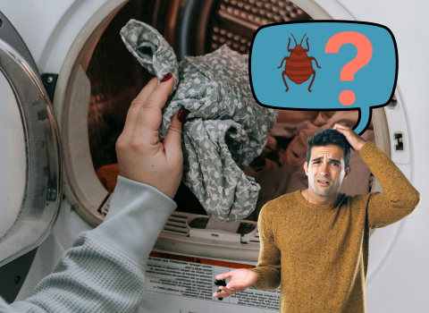 How_to_Wash_Clothes_Exposed_to_Bedbugs_2
