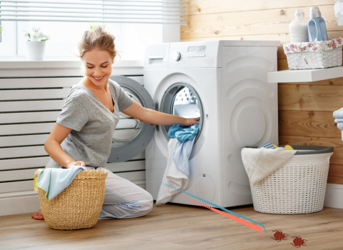 How_to_Wash_Clothes_Exposed_to_Bedbugs_4
