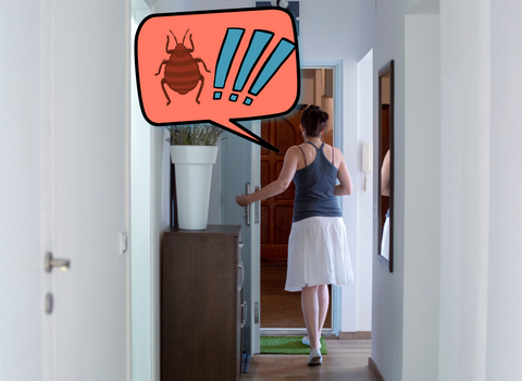 Visiting Someone With Bed Bugs: How To Prevent Bringing Them Home ...