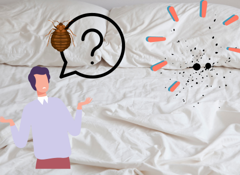 Black_Spots_On_Sheets_Not_Bed_Bugs_3