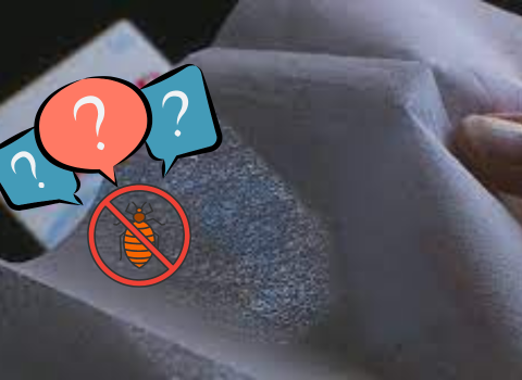 Does_Dryer_Sheets_Repel_Bed_Bugs_2