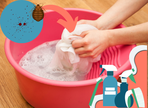 How_to_Get_Bed_Bug_Stains_Out_of_Sheets_2