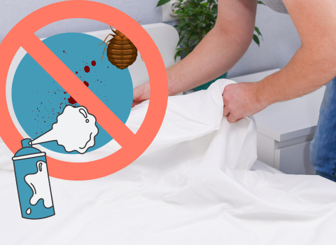 How_to_Get_Bed_Bug_Stains_Out_of_Sheets_3