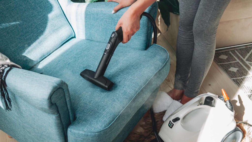 Can a Clothes Steamer Kill Bed Bugs? Steam Wand