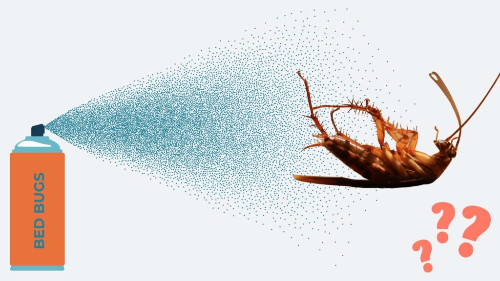 Does bed bug spray kill roaches